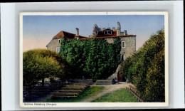 10694940 Habsburg Habsburg Schloss X Habsburg - Autres & Non Classés