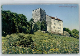 10694935 Habsburg Habsburg Schloss * Habsburg - Autres & Non Classés