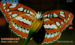TELECARTE ETRANGERE....PAPILLON.. - Butterflies