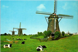 22-5-2024 (5 Z 50) Netherlands - Windmill / Moulin - Mulini A Vento