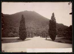 Fotografie Brück & Sohn Meissen, Ansicht Bad Harzburg, Blick Vom Kurhaus Nach Dem Burgberg  - Plaatsen