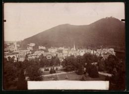 Fotografie Brück & Sohn Meissen, Ansicht Bad Harzburg, Blick Auf Die Villen Am Burgberg  - Plaatsen