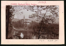 Fotografie Brück & Sohn Meissen, Ansicht Tetschen, Blick Nach Dem Schloss Tetschen  - Orte