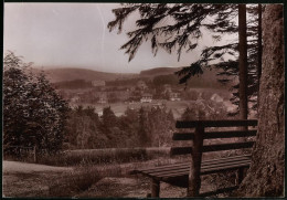 Fotografie Brück & Sohn Meissen, Ansicht Bärenfels I. Erzg., Partie Am Wald Mit Blick Nach Dem Ort  - Orte