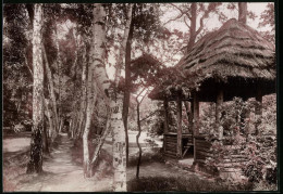 Fotografie Brück & Sohn Meissen, Ansicht Elsterwerda, Partie Im Stadtpark Mit Unterstandshütte  - Orte