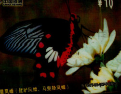 TELECARTE ETRANGERE....PAPILLON.. - Butterflies