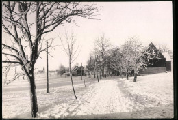 Fotografie Brück & Sohn Meissen, Ansicht Schellerhau I. Erzg., Blick Entlang Der Dorfstrasse Im Winter  - Plaatsen