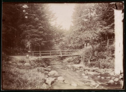 Fotografie Brück & Sohn Meissen, Ansicht Eckertal, Partie An Der Dreiherrnbrücke  - Orte