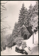 Fotografie Brück & Sohn Meissen, Ansicht Bärenfels I. Erzg., Partie Am Waldesrad Im Winter Mit Verschneitem Holztor  - Plaatsen