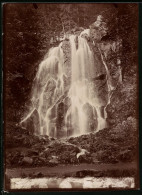 Fotografie Brück & Sohn Meissen, Ansicht Bad Harzburg, Blick Auf Den Radau Wasserfall Im Radautal  - Orte