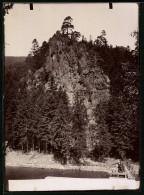 Fotografie Brück & Sohn Meissen, Ansicht Okertal I. Harz, Blick Auf Den Mutter Maria Felsen  - Orte