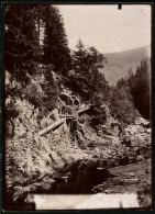 Fotografie Brück & Sohn Meissen, Ansicht Okertal I. Harz, Partie An Der Felsentreppe  - Orte