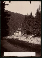 Fotografie Brück & Sohn Meissen, Ansicht Okertal I. Harz, Partie Im Tal An Der Schneidermühle  - Orte