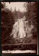 Fotografie Brück & Sohn Meissen, Ansicht Bad Harzburg, Partie Am Radau Wasserfall  - Orte