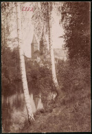 Fotografie Brück & Sohn Meissen, Ansicht Rochlitz, Blick Aus Dem Birkenwald Auf Das Schloss  - Orte