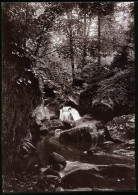 Fotografie Brück & Sohn Meissen, Ansicht Bad Berggiesshübel, Partie Im Gottleubatal  - Plaatsen