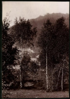 Fotografie Brück & Sohn Meissen, Ansicht Collmberg B. Oschatz, Blick Vom Wald Auf Dem Ort  - Orte