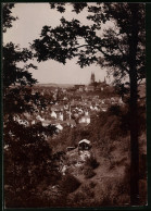 Fotografie Brück & Sohn Meissen, Ansicht Meissen I. Sa., Blick Vom Stadtpark Auf Die Stadt  - Plaatsen