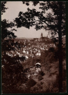 Fotografie Brück & Sohn Meissen, Ansicht Meissen I. Sa., Blick Vom Stadtpark Auf Die Stadt  - Orte