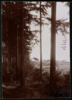 Fotografie Brück & Sohn Meissen, Ansicht Freiberg I. Sa., Blick Nach Dem Wald Cafe  - Lieux