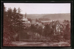 Fotografie Brück & Sohn Meissen, Ansicht Wechselburg, Blick über Den Ort, (Spiegelverkehrt)  - Luoghi