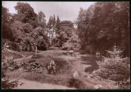 Fotografie Brück & Sohn Meissen, Ansicht Dahlen, Teich Im Schlosspark  - Luoghi