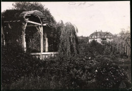 Fotografie Brück & Sohn Meissen, Ansicht Mittweida, Park Am Schwanenschlöschen  - Lieux