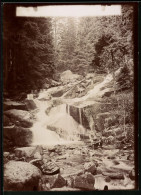 Fotografie Brück & Sohn Meissen, Ansicht Wernigerode, Steinerne Renne  - Lieux