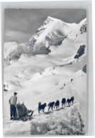 10669163 Jungfraujoch Jungfraujoch Rottalhorn Polarhunde X Jungfraujoch - Autres & Non Classés