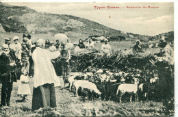 2B- CORSE - Types Corses.  -  Benediction Des. Moutons - Autres & Non Classés