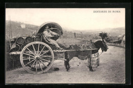 Cartolina Dintorni Di Roma, Italienischer Weinbauer Mit Kutsche  - Unclassified