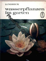 Wasserpflanzen Im Garten - Autres & Non Classés