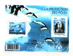 Bloc 2 Timbres De France - "LA PROTECTION DES PÔLES" - 2009 – NEUF - 033 - Mint/Hinged