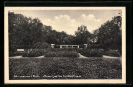 AK Sömmerda I. Thür., Rosengarten Im Stadtpark  - Soemmerda