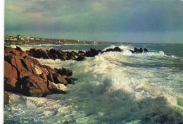 CPSM Cote Bretonne-Vague Déferlante Sur Les Récifs   L2931 - Bretagne