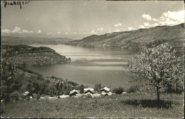 10581456 Krattigen Krattigen Thunersee X 1946 Krattigen - Otros & Sin Clasificación