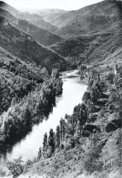 CPSM Gorges Du Tarn-Prades-Les Rives Du Tarn-Timbre   L2931 - Gorges Du Tarn