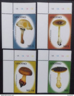 D633. Mushrooms - Lesotho Yv 1876-79 MNH - 1,85 - Paddestoelen