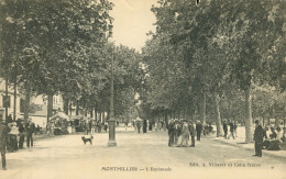 34)   MONTPELLIER  - L' Esplanade - Montpellier
