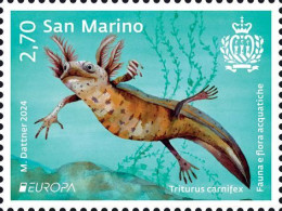 San Marino Stamps 2024 - Europe - Aquatic Fauna And Flora - Unused Stamps