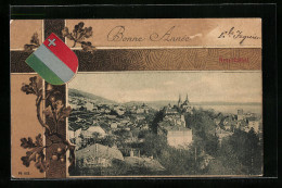 AK Neuchâtel, Teilansicht Der Stadt, Bonne Année, Wappen  - Neuchâtel