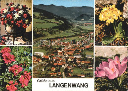 72184882 Langenwang Steiermark Blumen  Langenwang Steiermark - Autres & Non Classés