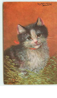 N°8584 - Carte Fantaisie - Chat N°1 - Katten
