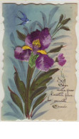 N°9759 - Carte Brodée - Celluloîd - Iris - Borduurwerk