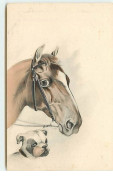 N°6566 - Cheval Et Bouledogue - 1900-1949