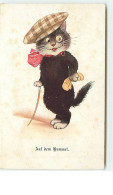 N°8670 - Carte Fantaisie - Chat En Casquette Avec Un Monocle - Auf Dem Bummel - Dressed Animals