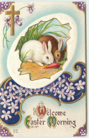 N°15191 - Carte Gaufrée - Welcome Easter Greeting - Lapins Mangeant Une Carotte - Easter