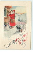 N°8638 - Carte Fantaisie Gaufrée - A Merry Christmas To You - Père Noël Clouant Du Houx - Santa Claus