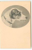 N°21743 - MM Vienne N°192 - Chien De Chasse Dans Un Médaillon - Hunde