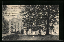 AK Neudorf, Blick Zum Schloss  - Sonstige & Ohne Zuordnung